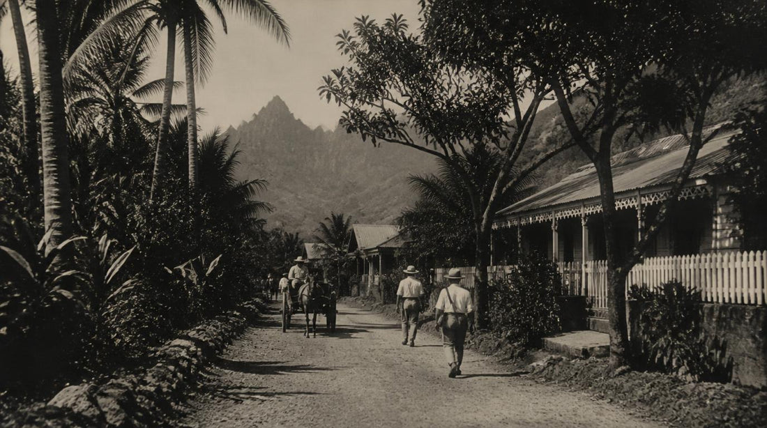 La Réunion avant l’ère automobile : à quoi ressemblait l’île ? 🚶🏽♂️